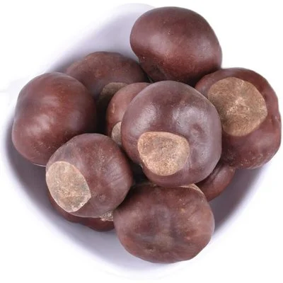 Horse Chestnut Extract Powder