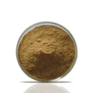 Epimedium Extract Powder Epimedium Extract Powder