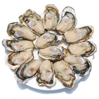 Abalone Peptide Abalone Peptide