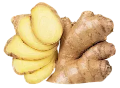 Organic Ginger Extract Powder Organic Ginger Extract Powder