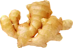 ginger extract powder ginger extract powder