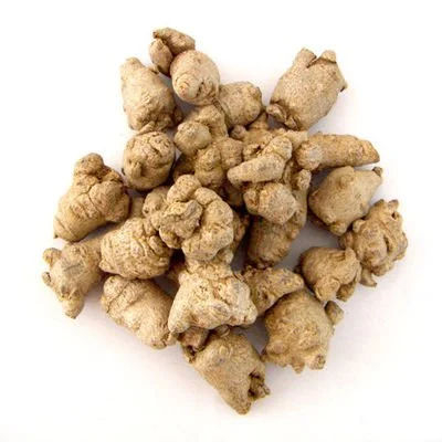 Notoginseng saponins