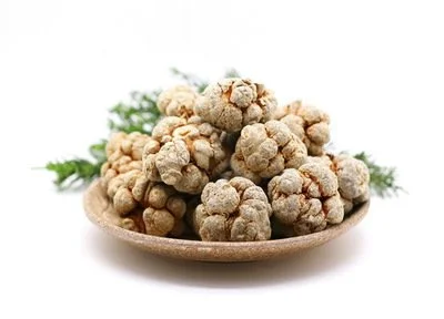 notoginseng saponins notoginseng saponins