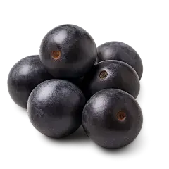 Acai berry Acai berry