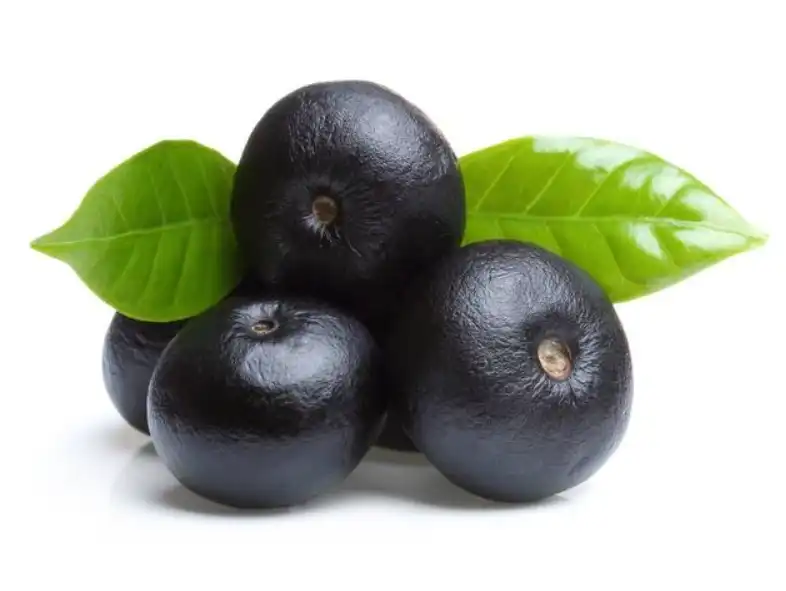 acai berry powder acai berry powder