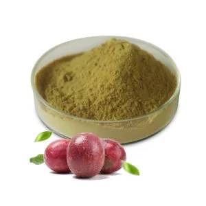 Passion Fruit Powder