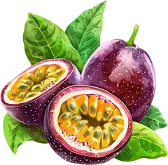 Passion Fruit Powder Passion Fruit Powder