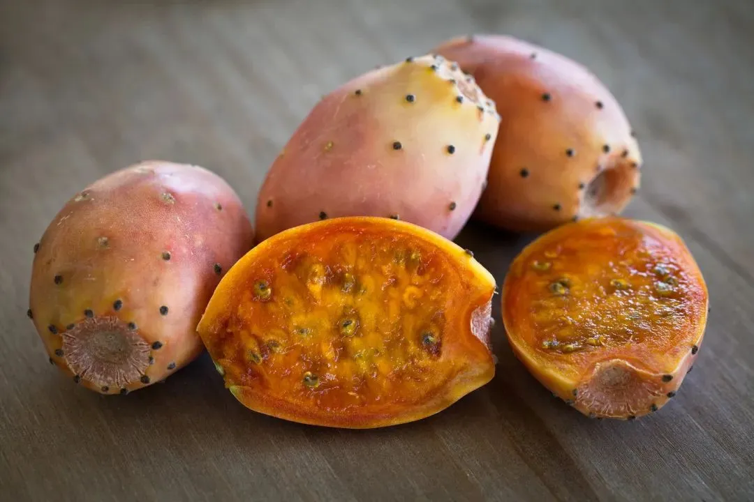 Prickly Pear Fruit Powder Prickly Pear Fruit Powder