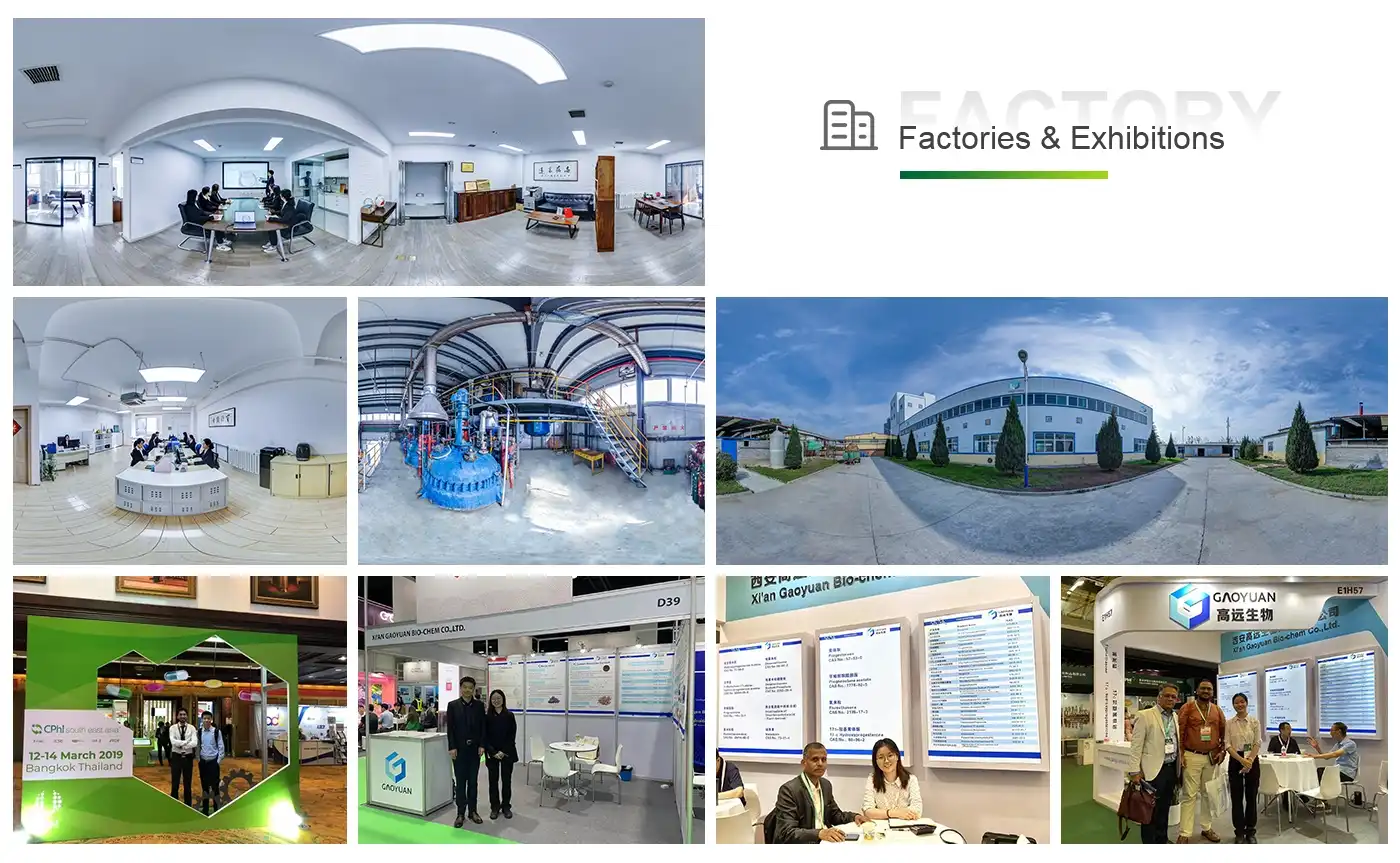 Houttuynia Cordata Extract Factory Houttuynia Cordata Extract Factory