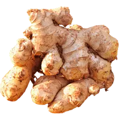 fructooligosaccharides powder