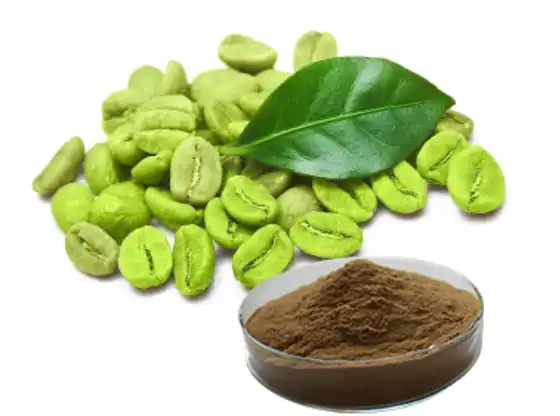 Green Coffee Bean Extract Powder Green Coffee Bean Extract Powder