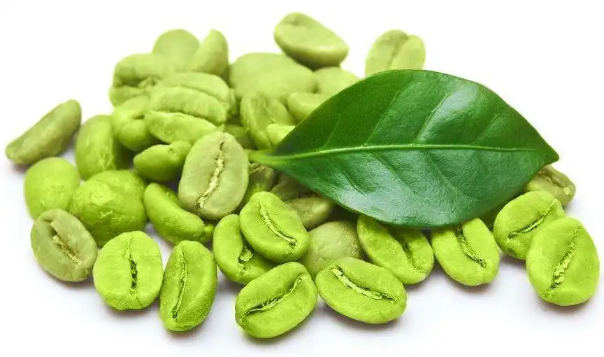 Green Coffee Bean Extract Powder Green Coffee Bean Extract Powder