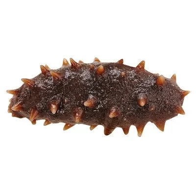 sea cucumber peptide sea cucumber peptide
