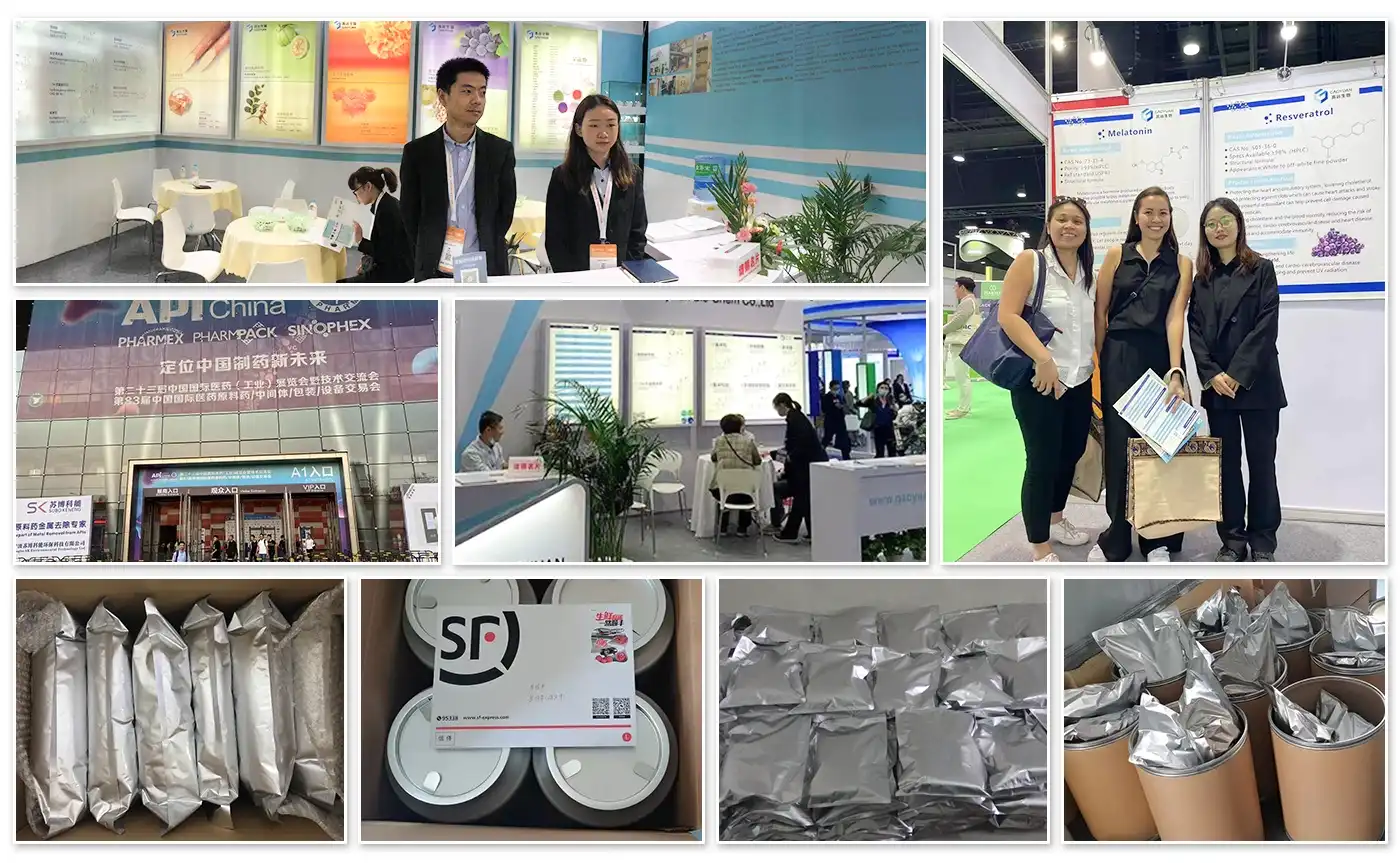 L-Dopa Powder Factory L-Dopa Powder Factory