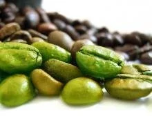 green coffee bean extract powder