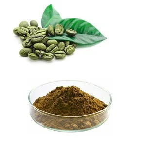 Green Coffee Bean Extract Powder Green Coffee Bean Extract Powder