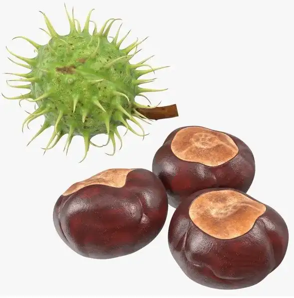 Horse Chestnut Extract Powder Horse Chestnut Extract Powder