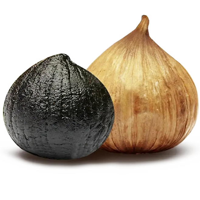 black garlic black garlic