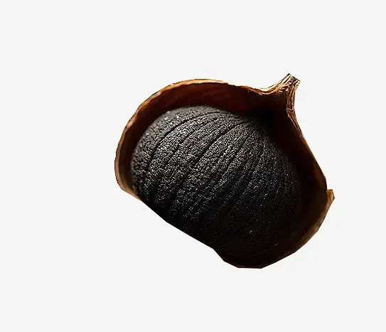 Black Garlic Extract Powder Black Garlic Extract Powder