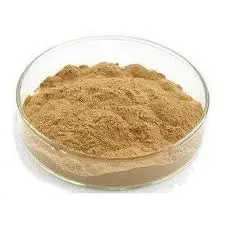 Bitter Orange Flower Extract Bitter Orange Flower Extract