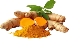 tetrahydrocurcumin powder tetrahydrocurcumin powder