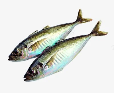 tuna peptides