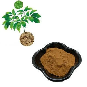 Notoginseng Saponins