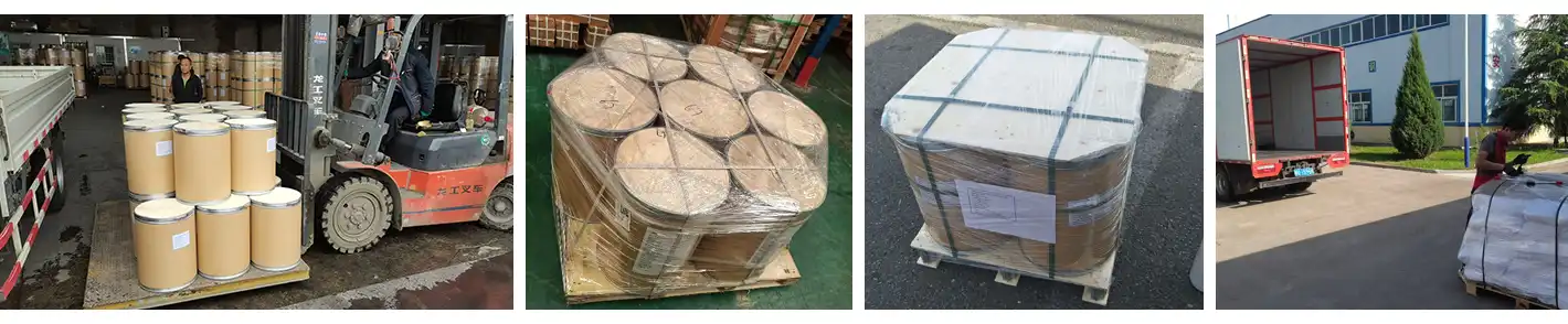Garcinia Cambogia Extract Powder Package