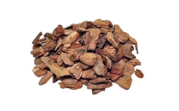 Pine Bark Pine Bark