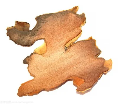 Pine Bark Extract Powder
