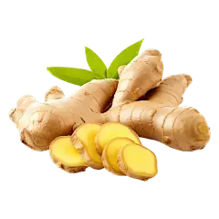 Ginger Extract Powder