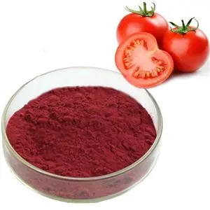 Lycopene Powder 1