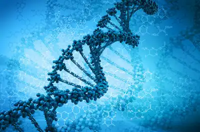 Diosgenin Powder 2 Diosgenin Powder 2