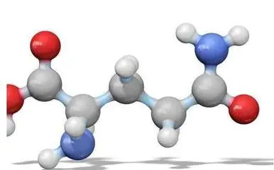 Glutamine Peptide 2 Glutamine Peptide 2