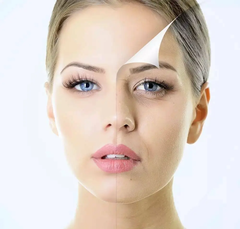 Genistein Powder 3 Genistein Powder 3