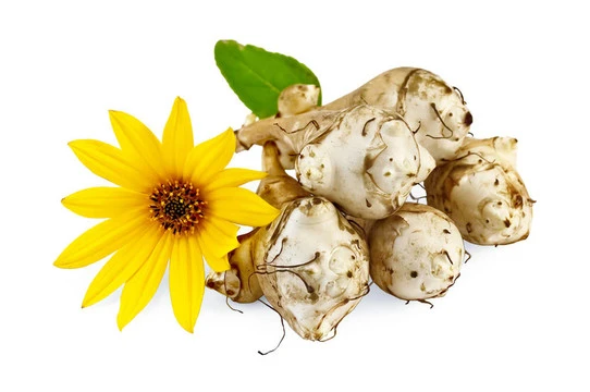Jerusalem artichoke extract