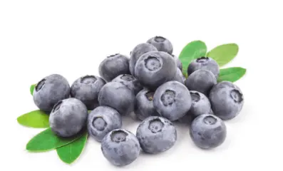 blueberry blueberry