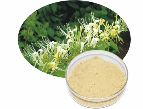 Caffeic acid powder