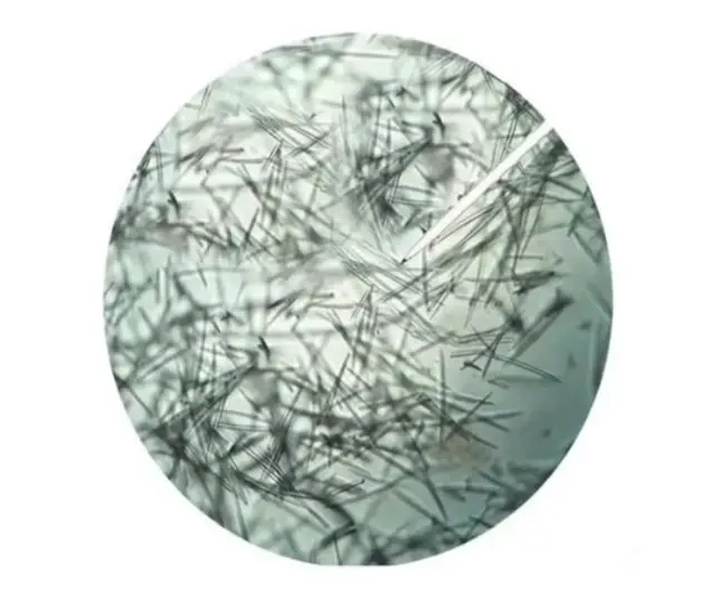 Hydrolyzed Sponge Extract