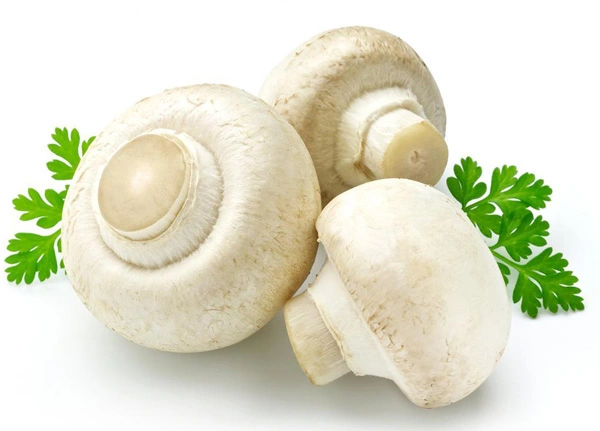 Ergothioneine Ergothioneine