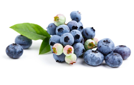 blueberry blueberry