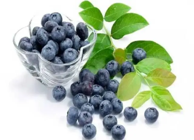 blueberry blueberry