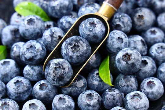 blueberry