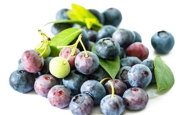 blueberry