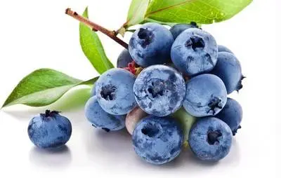 blueberry blueberry