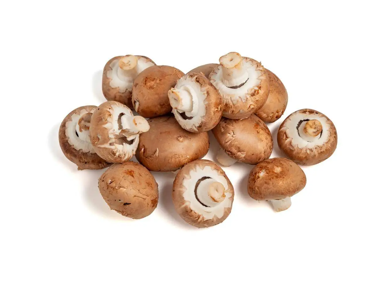 Mushrooms