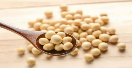 Does Soy Isoflavones Cause Cancer?