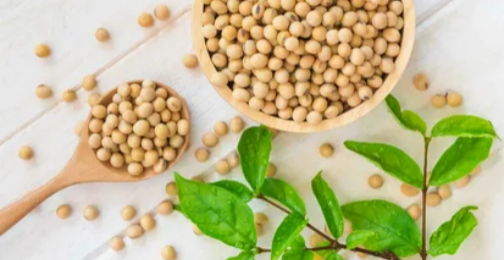 Are Soy Isoflavones Good for You?