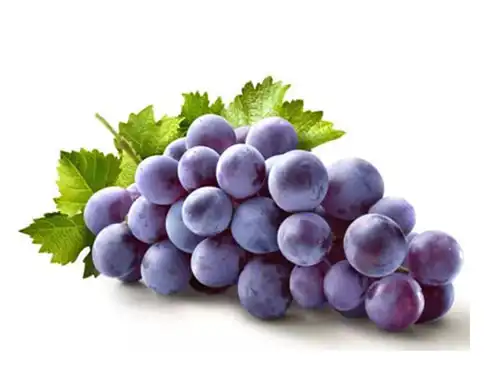 Resveratrol Powder: A B2B Buyer’s Guide to Quality and Supply