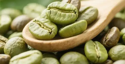Does Green Coffee Bean Extract Really Burn Fat?